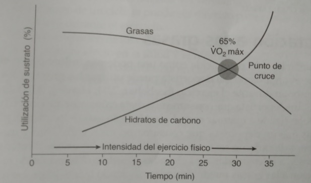 Suplementos Nutricionales