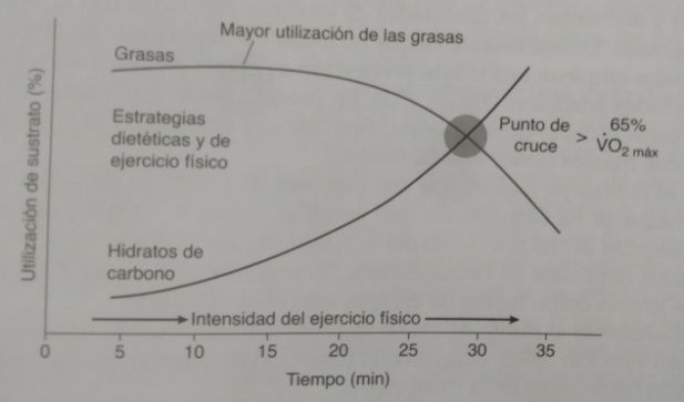 Suplementos Nutricionales