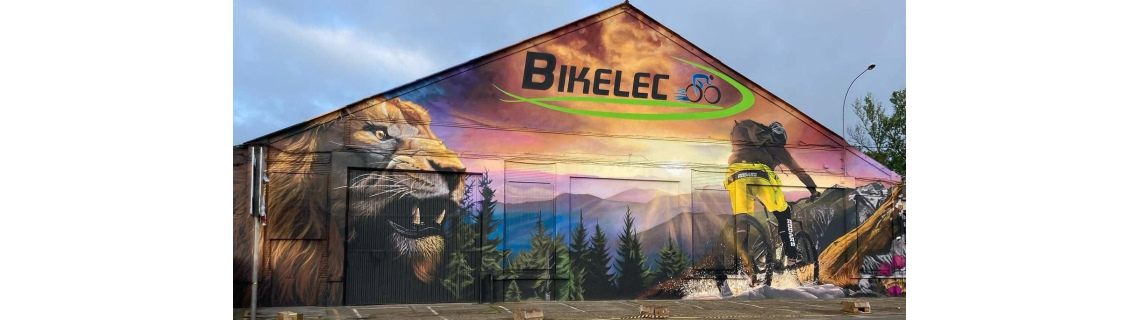 Bikelec