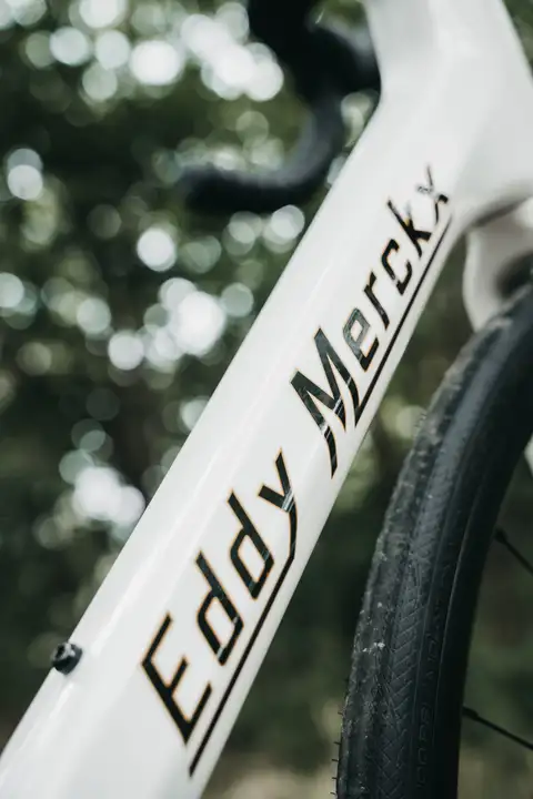 Detalle Eddy Merckx