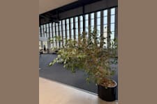 Kontorslokal på Vasatorpsvägen 1D, Helsingborg – bild 5