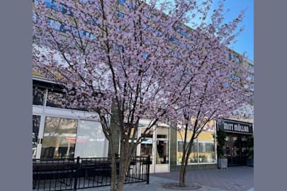 Lokal på Claesgatan 8, MALMÖ