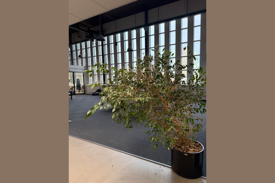 Kontorslokal på Vasatorpsvägen 1D, Helsingborg – bild 5