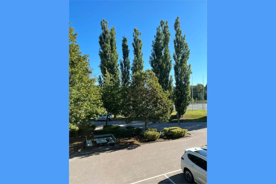 Kontorslokal på Sjöängsvägen 2, Sollentuna – bild 10