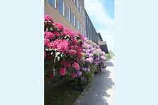 Kontorslokal på Löfströms Allé 5, Sundbyberg – bild 11