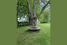 Lokal på Skarhults Södergård 1288, Eslöv – bild 3