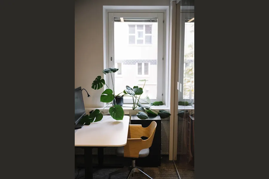 Kontorslokal på Magnus Ladulåsgatan 10, Stockholm – bild 5