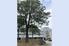 Ekholmsvägen 36 - image - 3