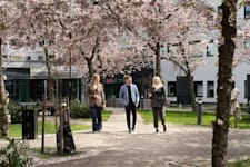 Kontorslokal på Gullfossgatan 3, KISTA – bild 18