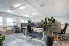 August Barks Gata 6 A - image - 6