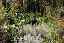 Kontorslokal på Färögatan 33 - Kista Science Tower, p..., Kista – bild 25