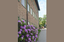 Ågatan 12 - image - 11