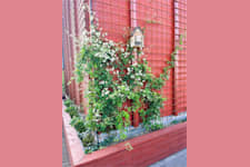 Hyllie Boulevard 21 - Takterrass