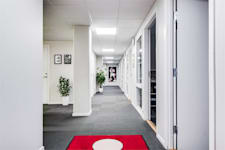 August Barks Gata 7 - image - 8