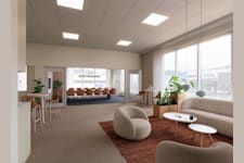 August barks gata 23 - image - 4