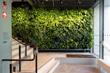 Neptunigatan 82 - Den välkomnande entrén bjuder på grönska och fågelkvitter