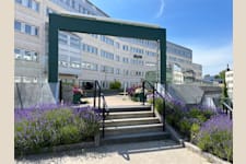 Veterinärgränd 6 - image - 13