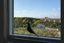 Kontorslokal på Pildammsvägen 6B, Malmö – bild 2