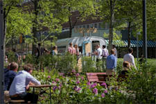 Färögatan 33 - Kista Science Tower, p... - Streetfood i Kista centrum under sommarhalvåret.