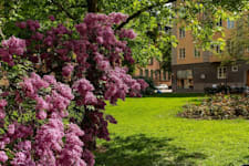 Kontorslokal på Tre Liljor 7, Stockholm – bild 13