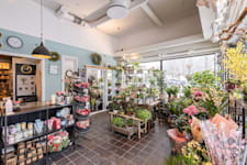 Blomsterbutik Dalen Centrum - 2026-02-25-11-22-54-1003-HDR