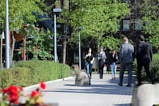 Kontorslokal på Sundbybergsvägen 1C - Solna Access, Solna – bild 2