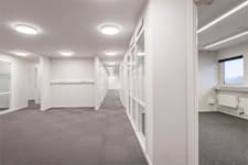 August Barks Gata 23 B - image - 4