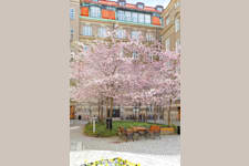 Butikslokal på Artillerigatan 62 A, Stockholm – bild 12