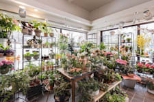 Blomsterbutik Dalen Centrum - 2026-02-25-11-25-07-1009-HDR