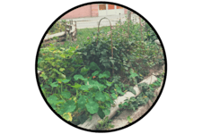 Coworking-plats på Lillåvägen 61, gatuplan baksidan, Bagarmossen – bild 6