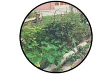 Lillåvägen 61, gatuplan baksidan  - Vakansa Image