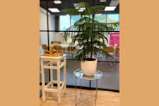 Lokal på Kolavägen 2a, Alingsås – bild 2