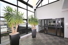 Victor Hasselblads Gata 9  - Vakansa Image