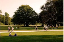 Tullvaktsvägen 15 - ignacio-brosa-vJDbPuxUS_s-unsplash