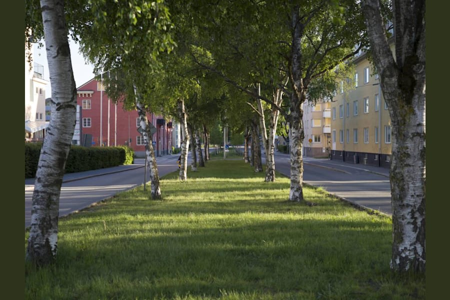 Kontorslokal på St Olofsgatan 33, Uppsala – bild 5