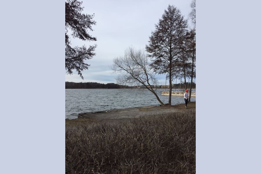 Hufvudsta gård - Sjölängan  - image - 11