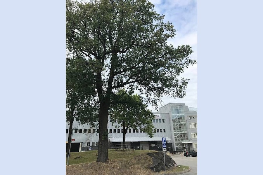 Ekholmsvägen 36 - image - 3