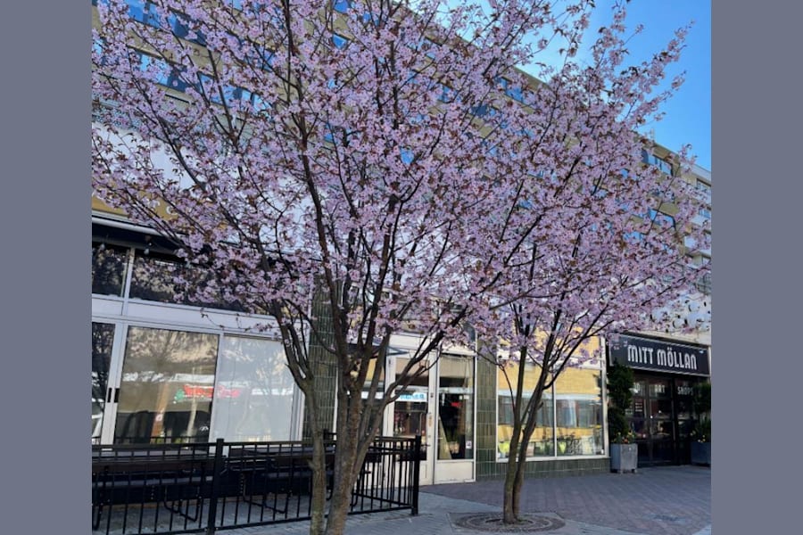 Butikslokal på Claesgatan 8, MALMÖ