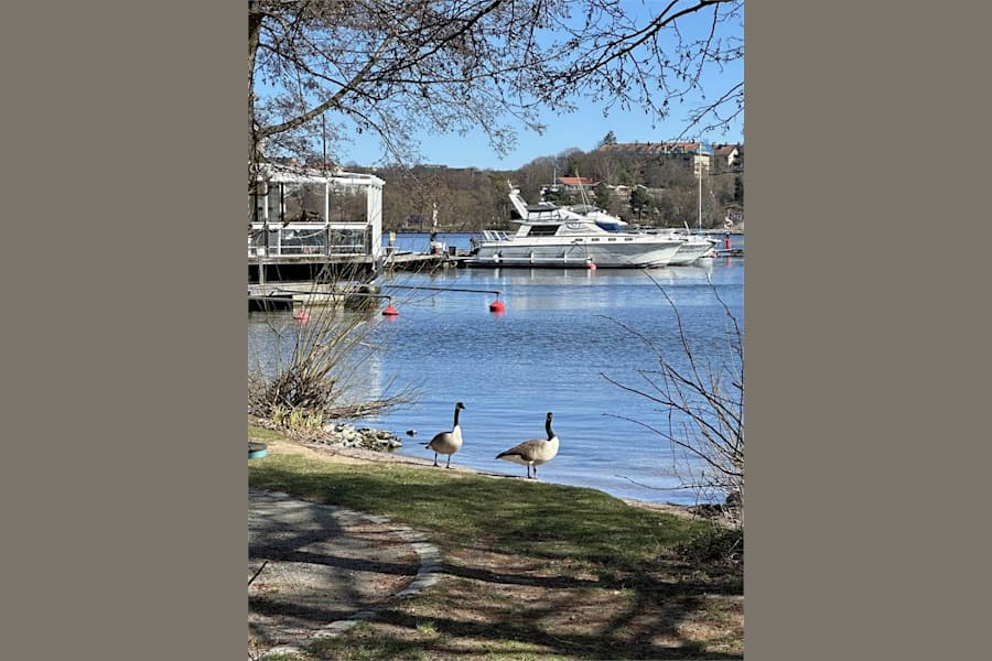 Gustavslundsvägen 151H - image - 6