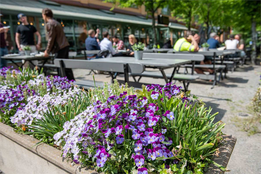 Augustendalstorget 3 - Lunch i solen