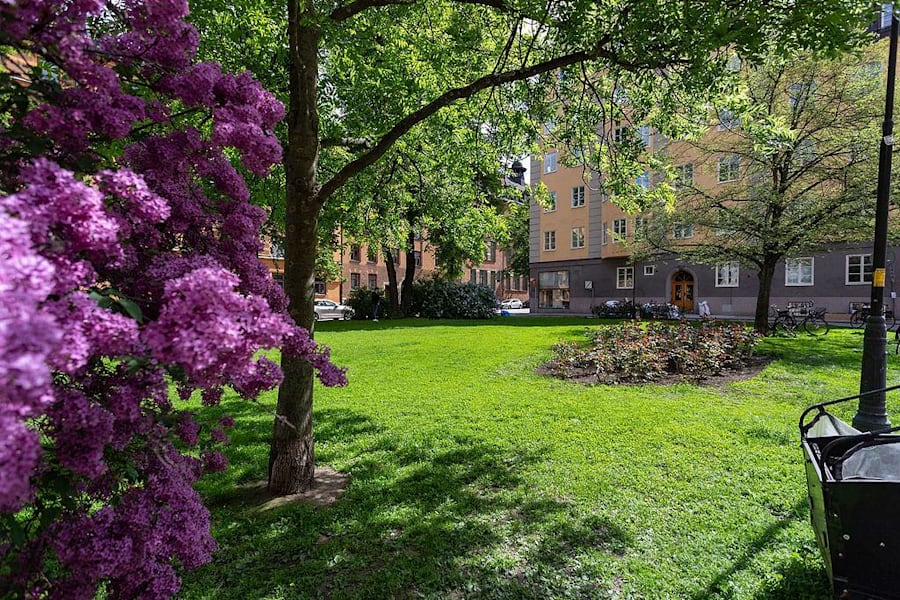 Kontorslokal på Tre Liljor 7, Stockholm – bild 9