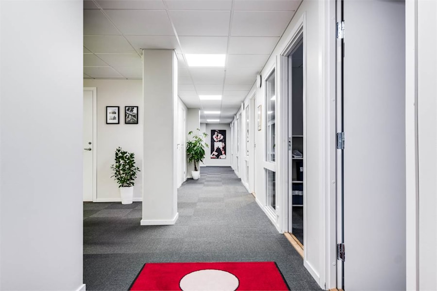 August Barks Gata 7 - image - 8