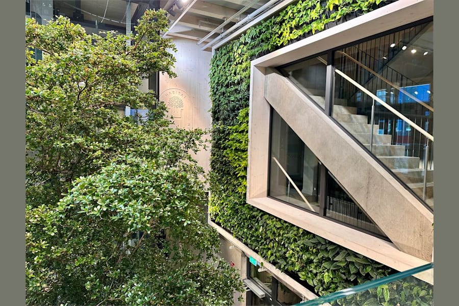 Masthamnsgatan 13 - Välkommen av grönska i entrén