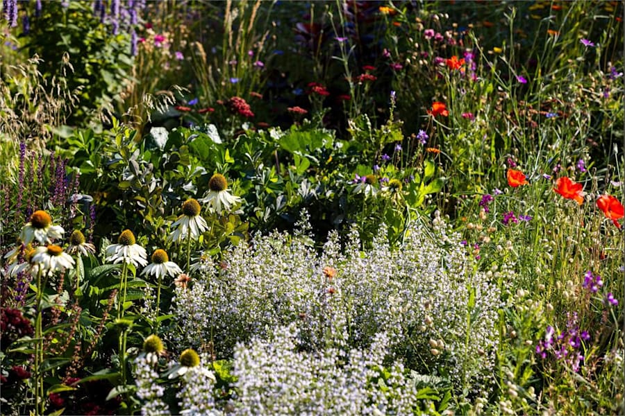 Färögatan 33 - Kista Science Tower, p... - image - 39