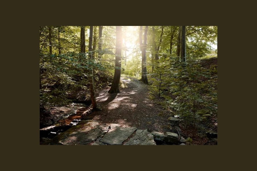 Kontorslokal på Bergfotsgatan 4, Mölndal – bild 3