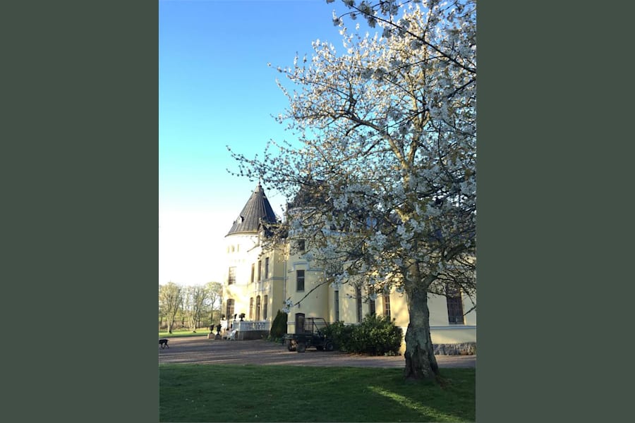 Fjälldalens gård 601B - image - 4