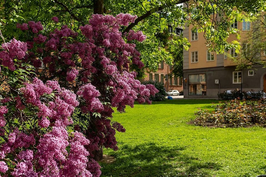 Kontorslokal på Tre Liljor 7, Stockholm – bild 13