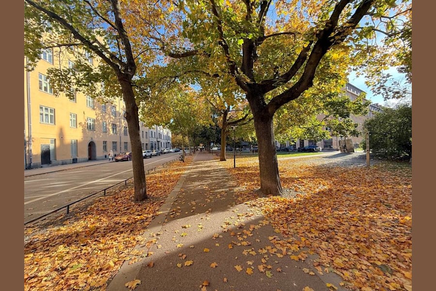 Katarina bangata 29 - IMG_8387