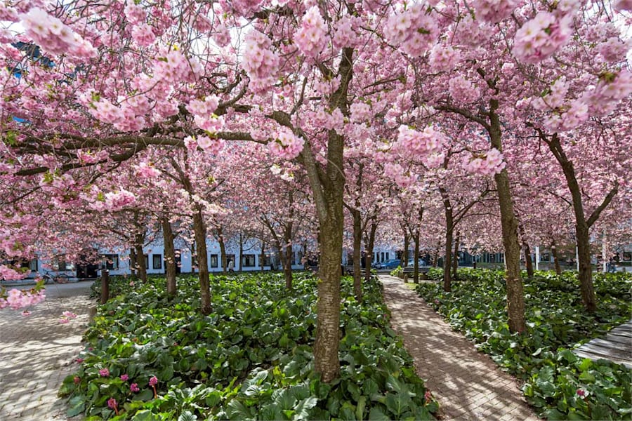 Kontorslokal på Jan Stenbecks Torg 17, KISTA – bild 12