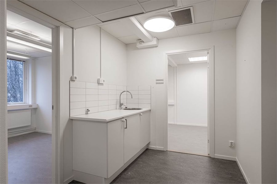 August Barks Gata 7 - image - 7